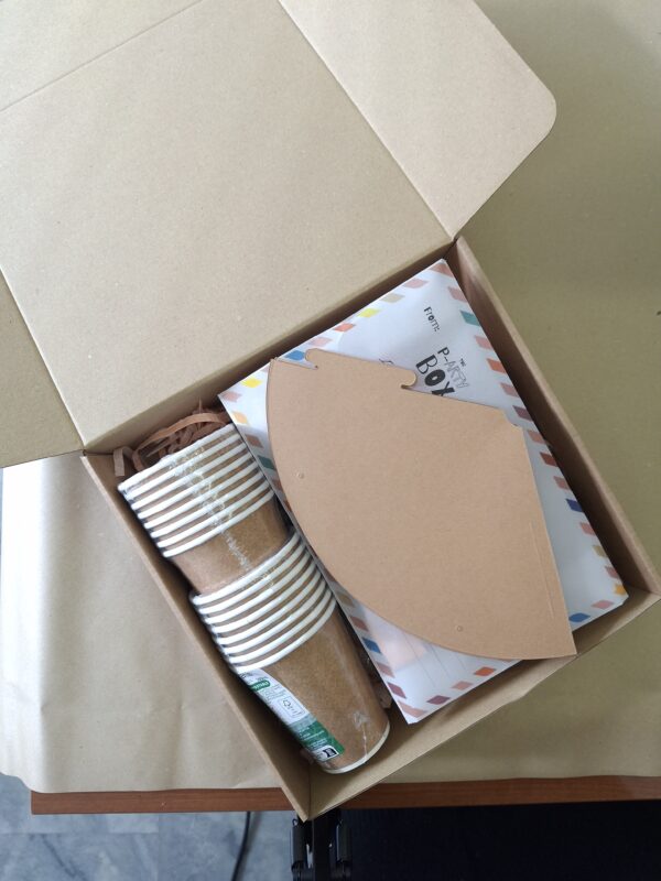 20251208_120524 Kraft party hats DIY